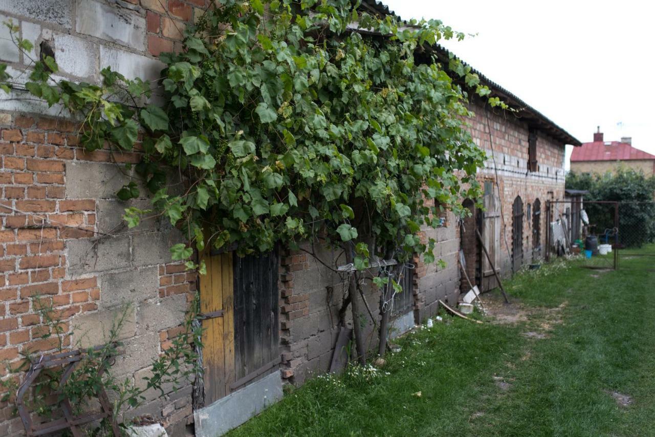 Agroturystyka Karpinscy Wizna Екстериор снимка